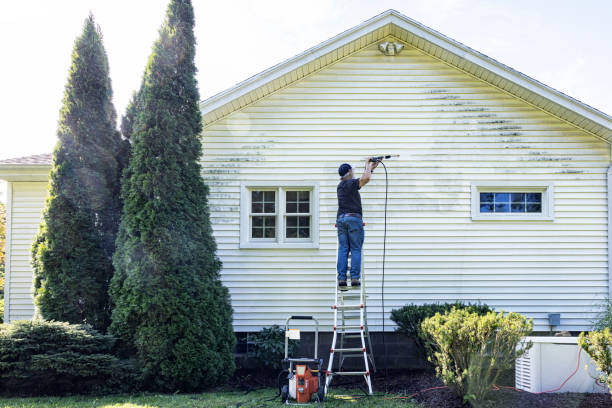 Best Pressure Washing Siding  in Louisa, KY