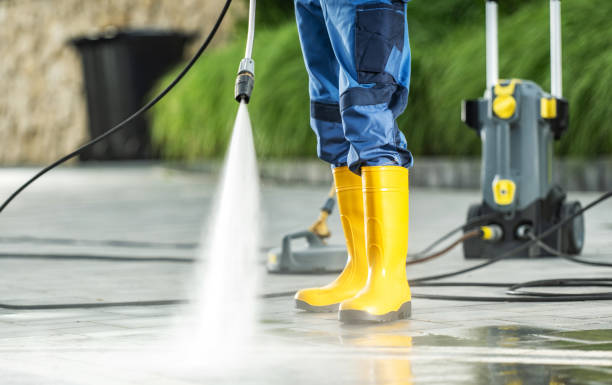 Best Pressure Washing Near Me  in Louisa, KY